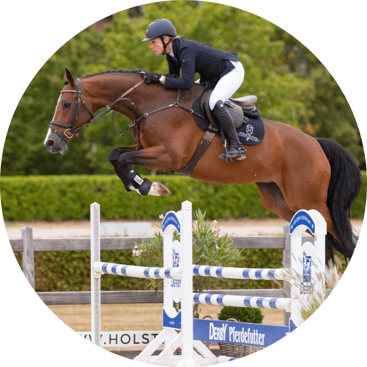 holsteiner verband derby community einstiegsbild